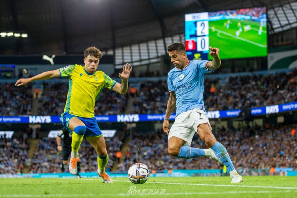 它带来的不 它带来的不